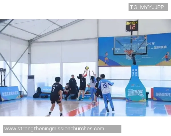 数据分析：西安篮球队的状态表现